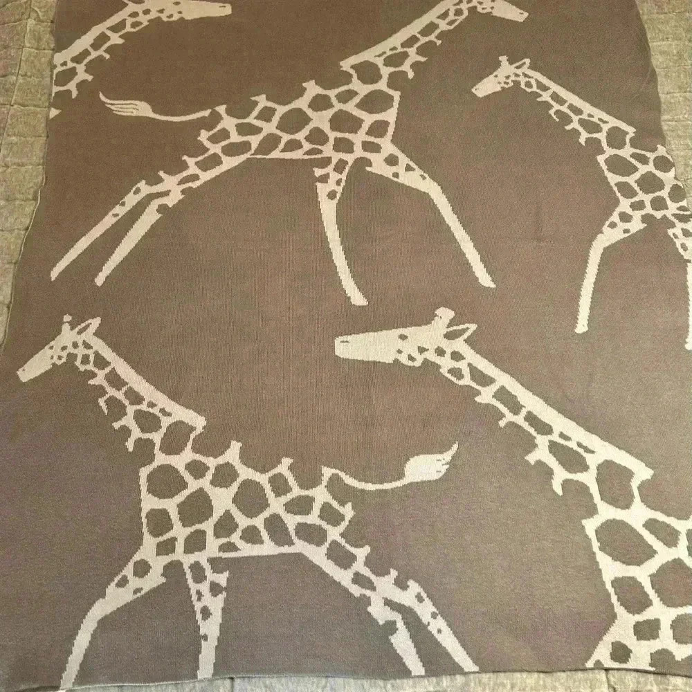 Pottery barn kids giraffe blanket